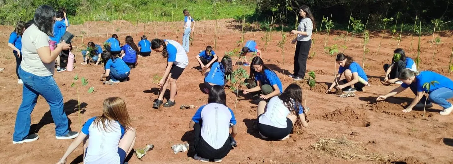  Meio Ambiente realiza o plantio de mil árvore em Cerqueira César 