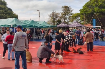 Município recebeu o Programa Castra+ SP proporcionando saúde e bem-estar Animal 