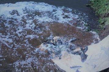 Prefeitura realiza soltura de peixes no Açude