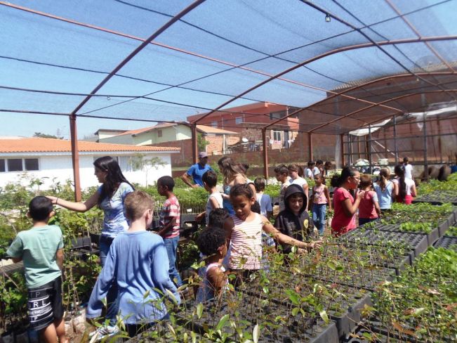Escola Zely visita o Viveiro de Mudas 